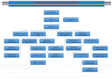 Company Organizational Structure