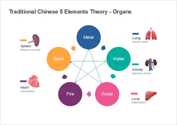 Gráfico sobrea teoría de los 5 elementos - Órganos
