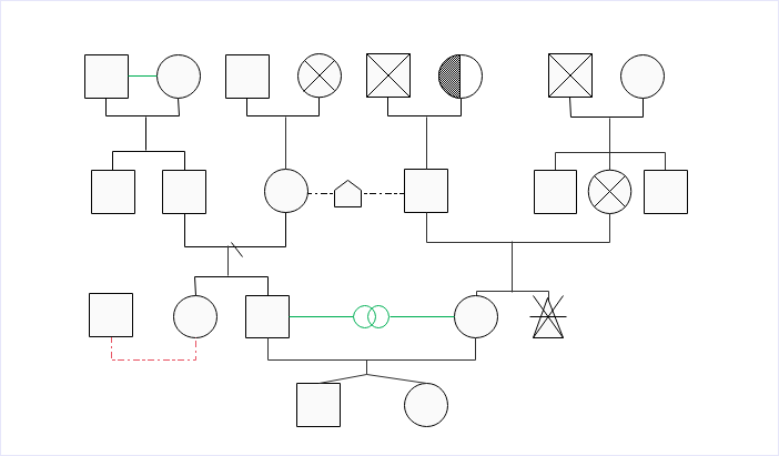 Free Download Editable Genogram Examples