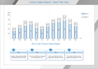 column sales report