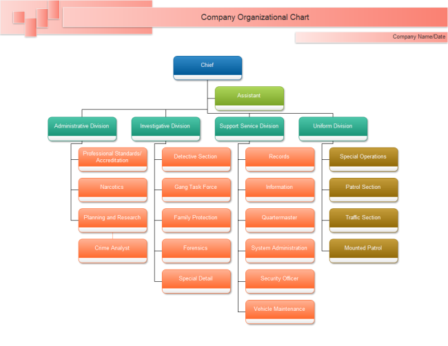 Chief Organizational Chart examples