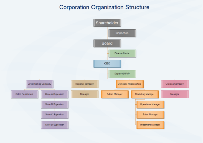 Struttura organizzativa amministrativa della società