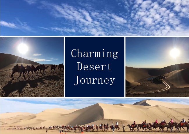 Desert Travel Photo Collage