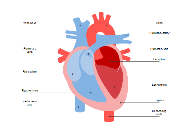 simple box heart diagram
