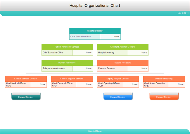 Hospital Org Chart | Free Hospital Org Chart Templates