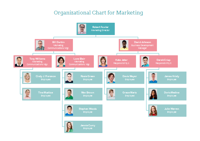 Administrative Organizational Structure of Marketing Department