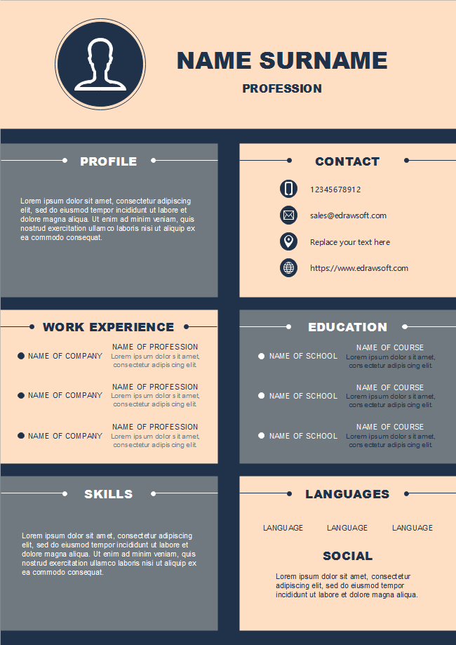 infographic cv template