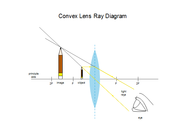 One Side Convex Lens Ray Diagram