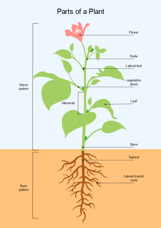 [DIAGRAM] Chiller Plant Diagram - MYDIAGRAM.ONLINE