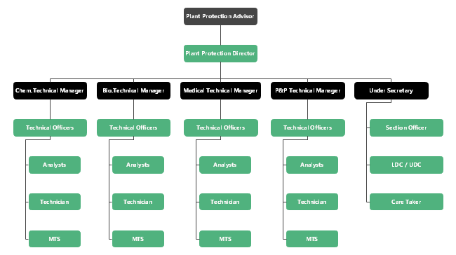 Organizational Chart For A Nonprofit Organization