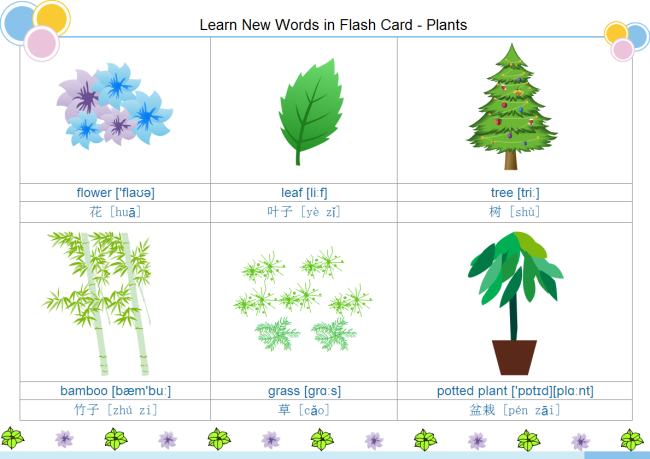 Plants Flash Card | Free Plants Flash Card Templates