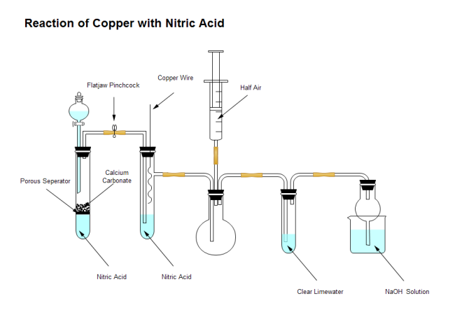 Reaction of Copper with Nitric Acid Template
