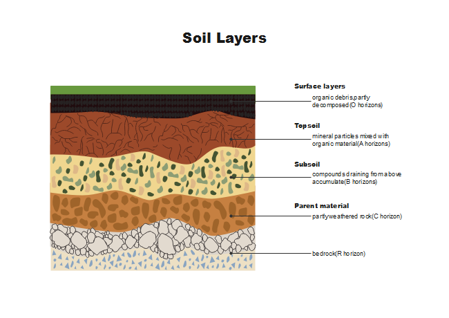 Soil Profile Diagram Easy | Layers Of Soil Chart | Layers of Soil Drawing |  Diagram Of Soil Profile - YouTube