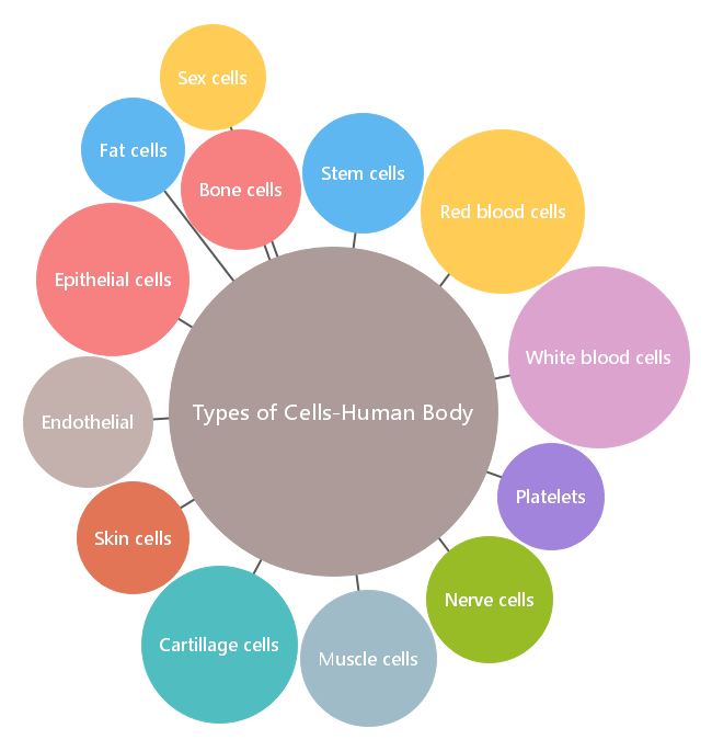 Free Types Of Cells Human Body Bubble Map Template