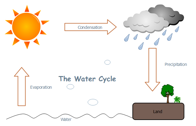 Water Cycle - A Diagram Of Water Cycle with Detailed Explanations