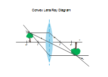 Convex Lens Ray Diagram