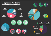 Infographic Pie Charts