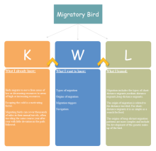  Grafico KWL degli uccelli migratori