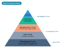 gráfico piramidal de necesidades