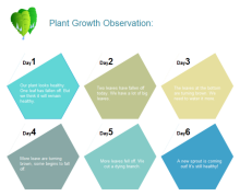 Pflantzenwachstum Observation Diagramm