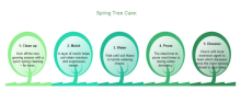 Tree Care Sequence Chart