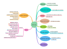 Call of The Wild Mind Map